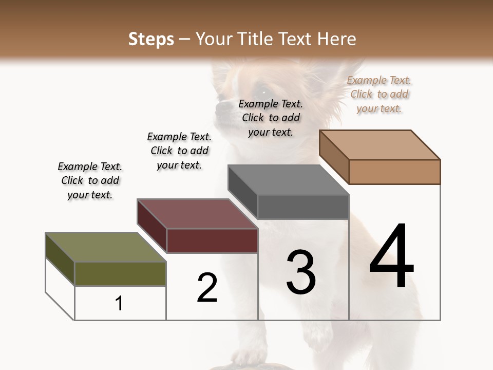 Hermanns Tortoise Cute Tortoise PowerPoint Template