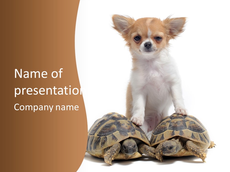 Two Reptile Brown PowerPoint Template