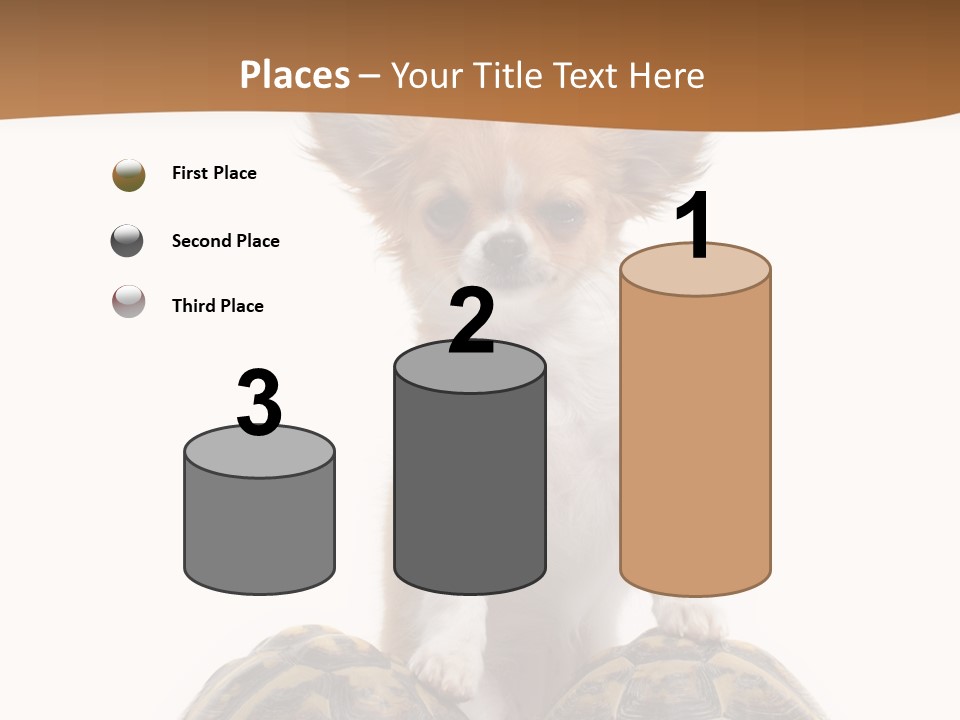 Two Reptile Brown PowerPoint Template