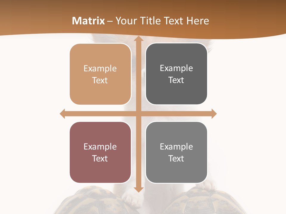 Two Reptile Brown PowerPoint Template