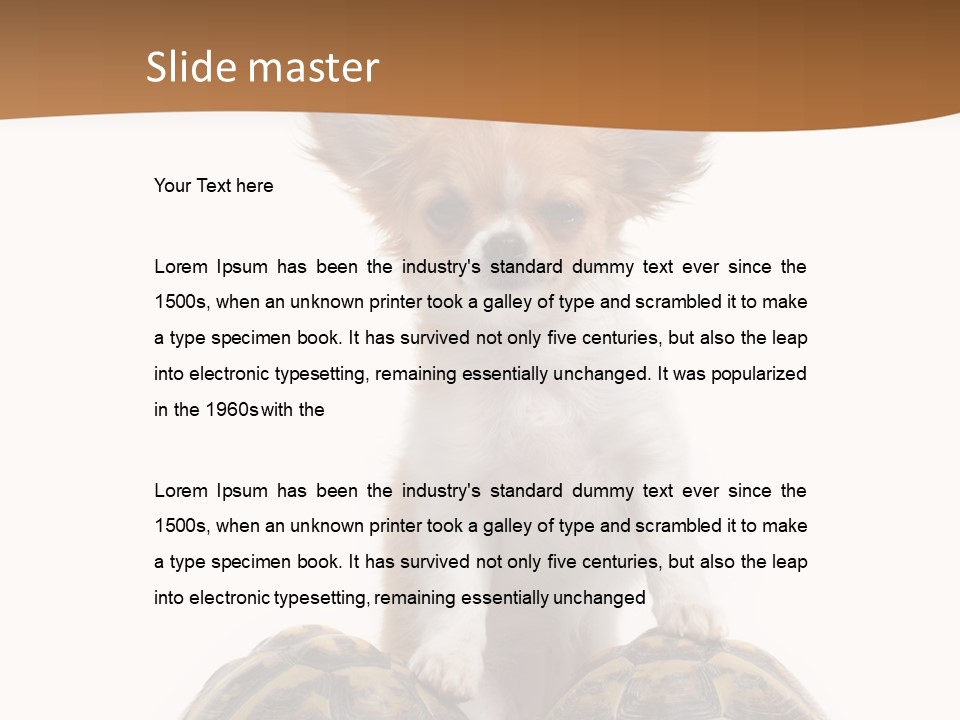 Two Reptile Brown PowerPoint Template