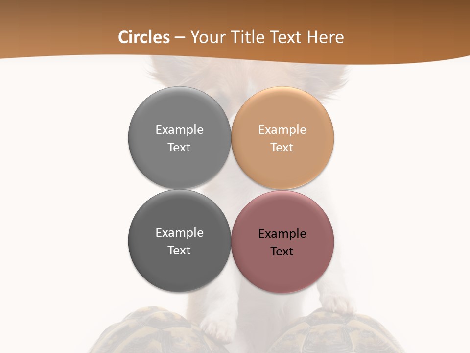 Two Reptile Brown PowerPoint Template