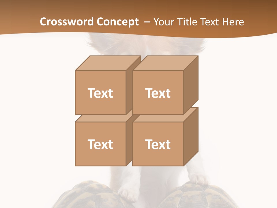 Two Reptile Brown PowerPoint Template