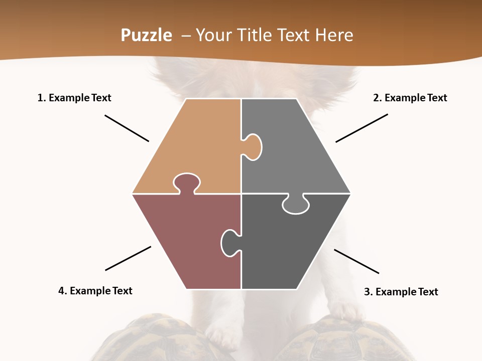 Two Reptile Brown PowerPoint Template