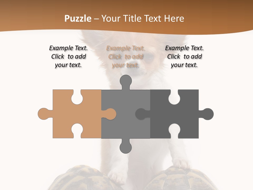 Two Reptile Brown PowerPoint Template