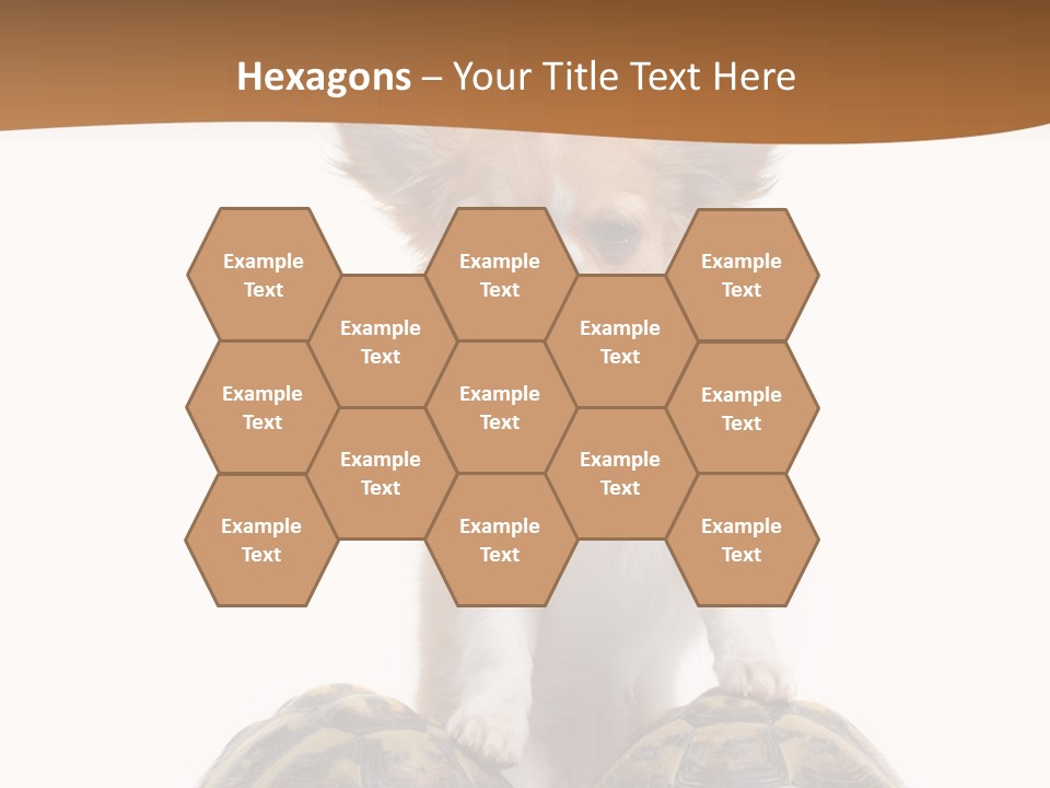 Two Reptile Brown PowerPoint Template