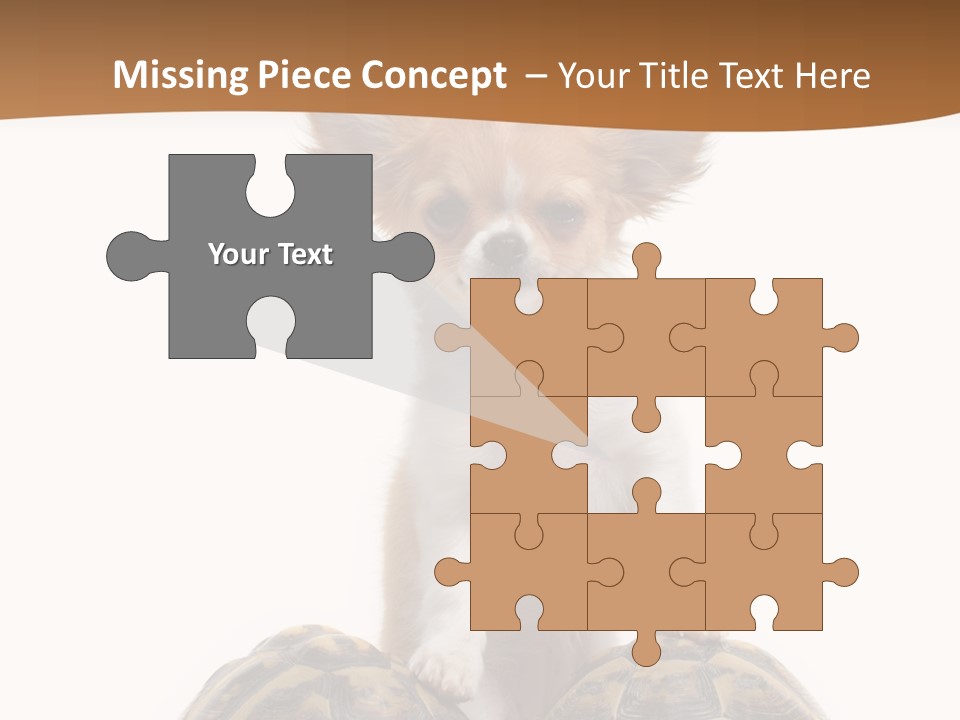 Two Reptile Brown PowerPoint Template