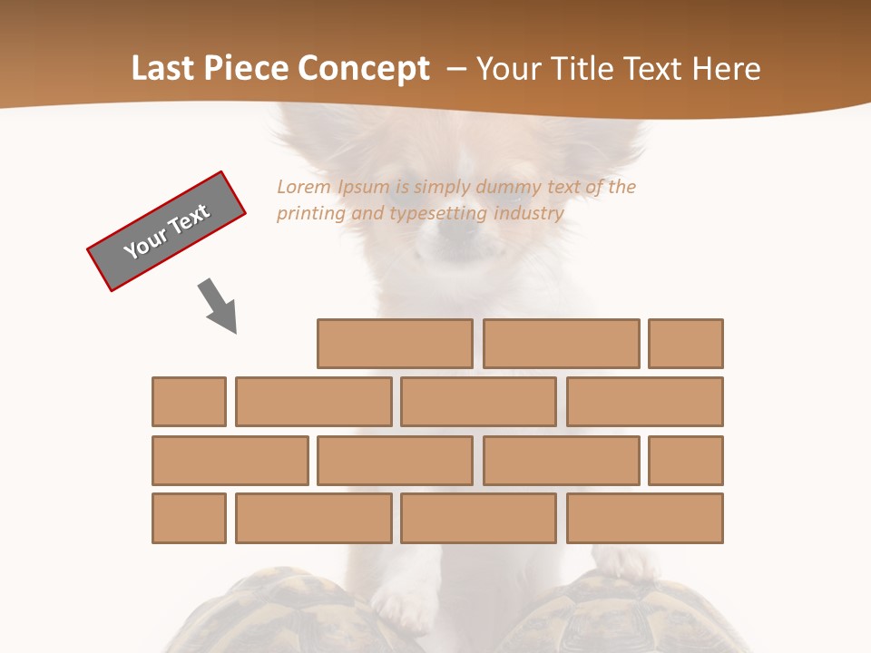Two Reptile Brown PowerPoint Template