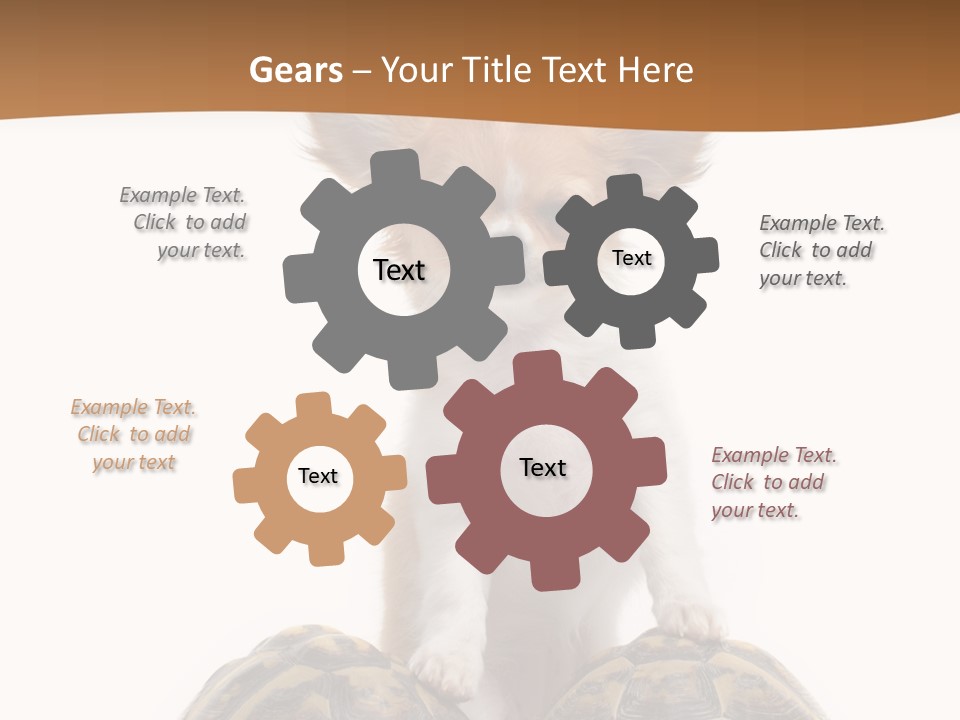 Two Reptile Brown PowerPoint Template