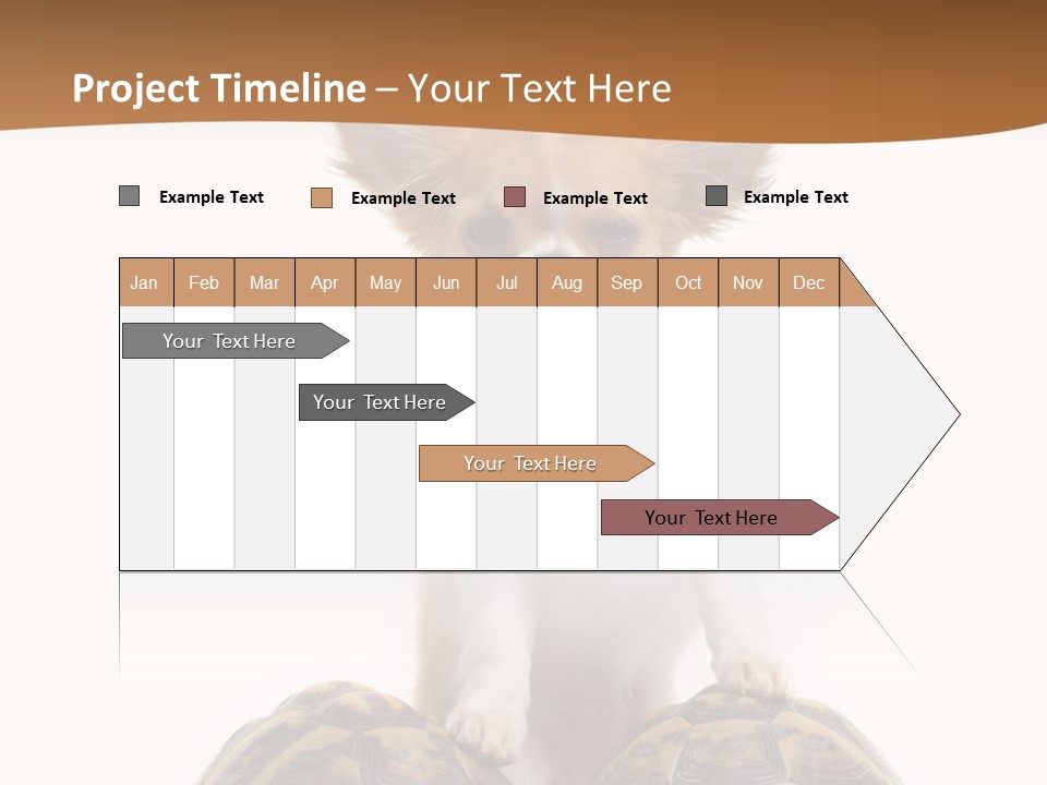 Two Reptile Brown PowerPoint Template
