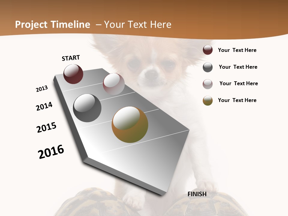 Two Reptile Brown PowerPoint Template