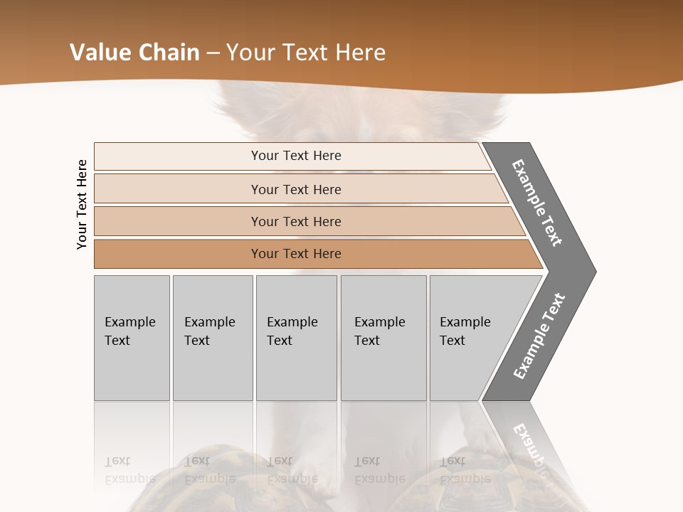 Two Reptile Brown PowerPoint Template