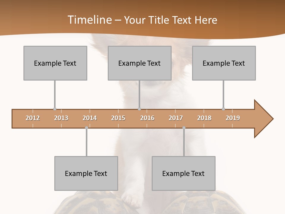 Two Reptile Brown PowerPoint Template