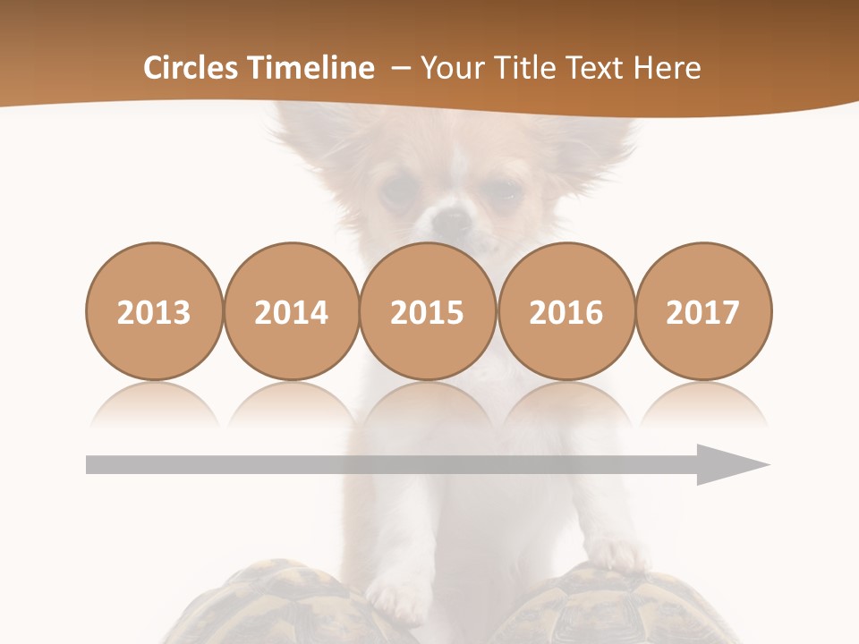 Two Reptile Brown PowerPoint Template