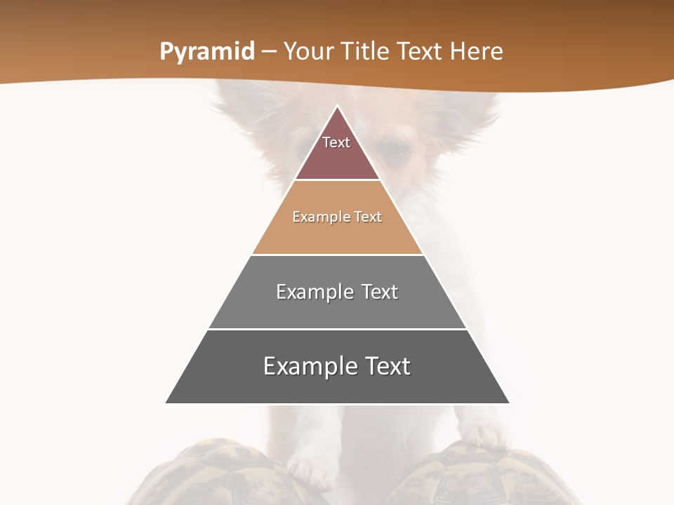 Two Reptile Brown PowerPoint Template