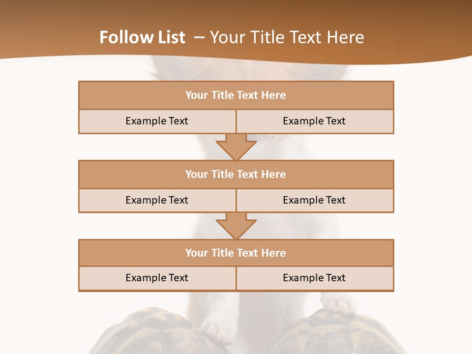 Two Reptile Brown PowerPoint Template