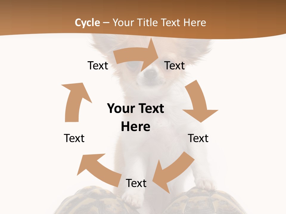 Two Reptile Brown PowerPoint Template