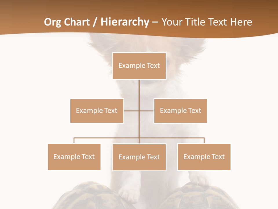 Two Reptile Brown PowerPoint Template