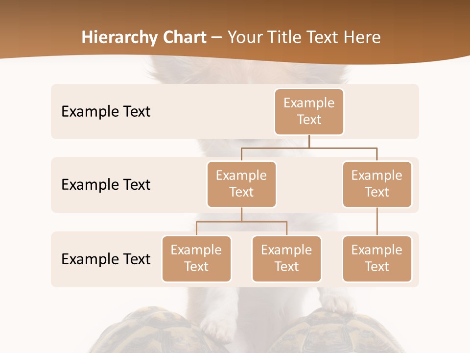 Two Reptile Brown PowerPoint Template