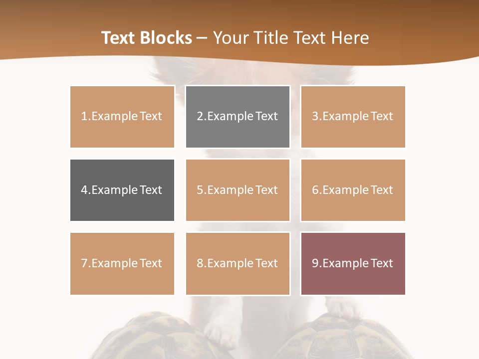 Two Reptile Brown PowerPoint Template