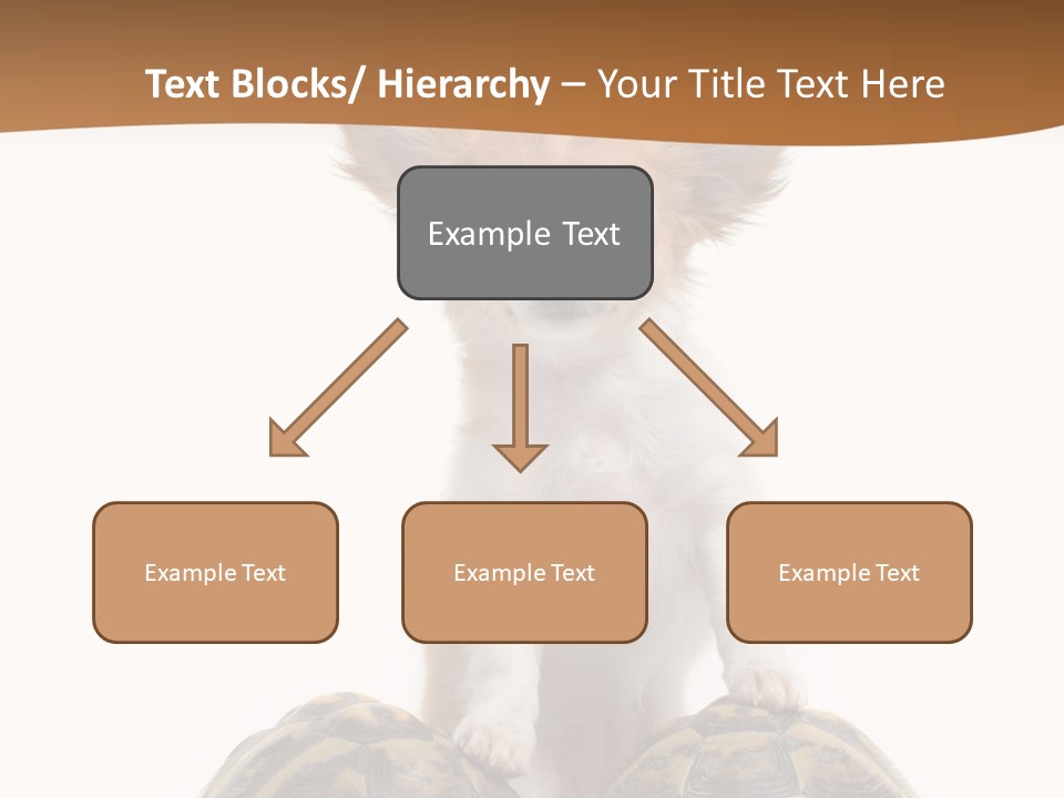 Two Reptile Brown PowerPoint Template
