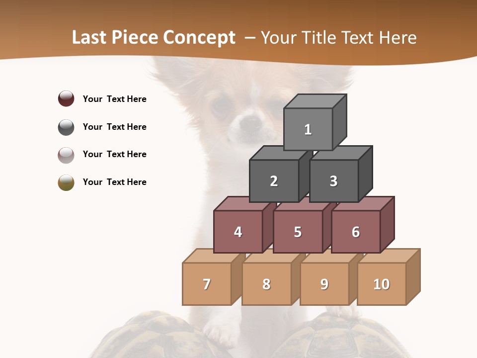 Two Reptile Brown PowerPoint Template