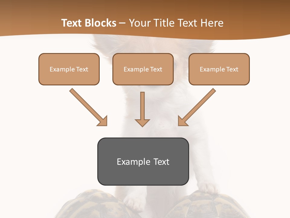 Two Reptile Brown PowerPoint Template