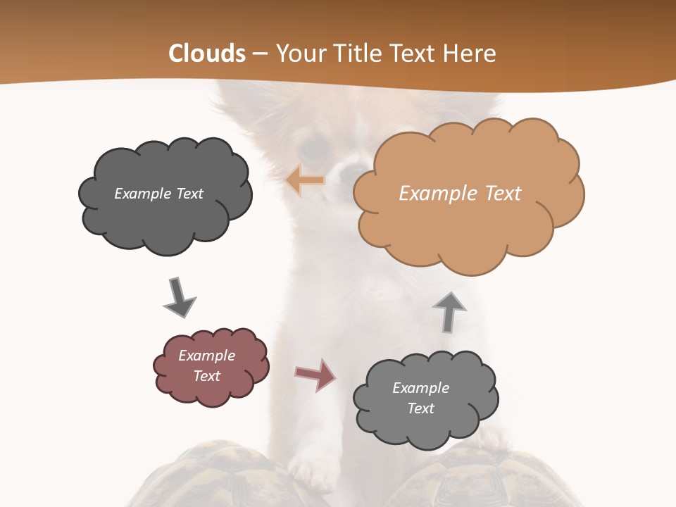 Two Reptile Brown PowerPoint Template