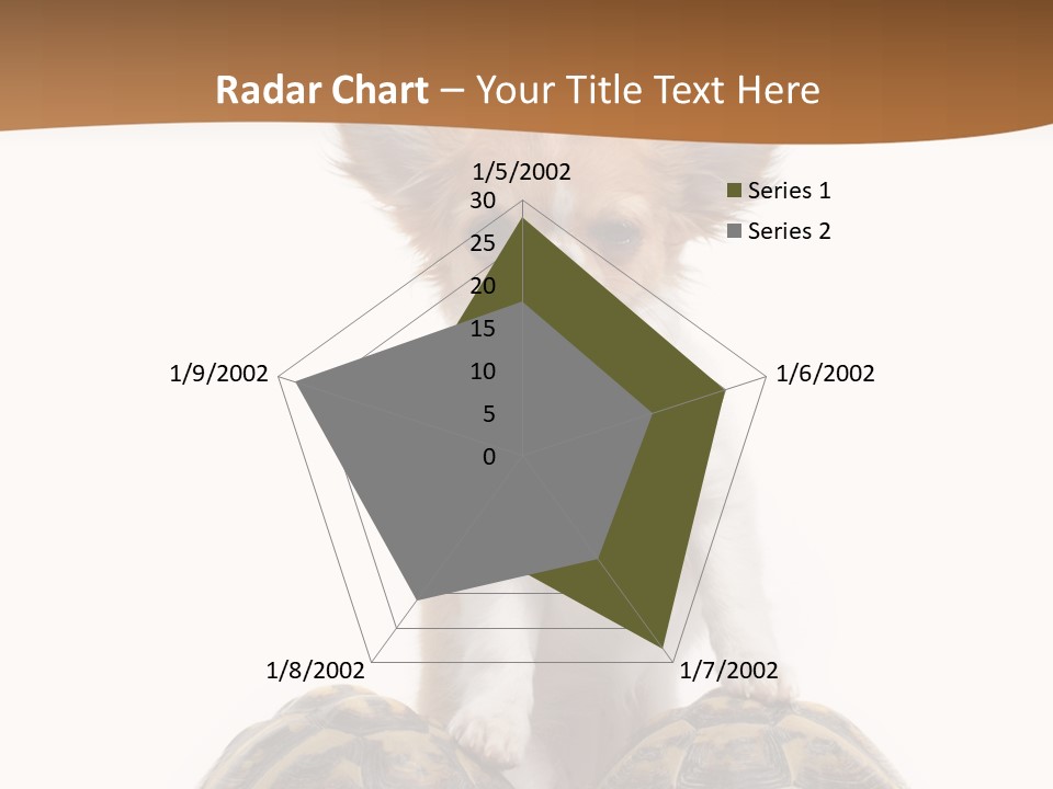 Two Reptile Brown PowerPoint Template