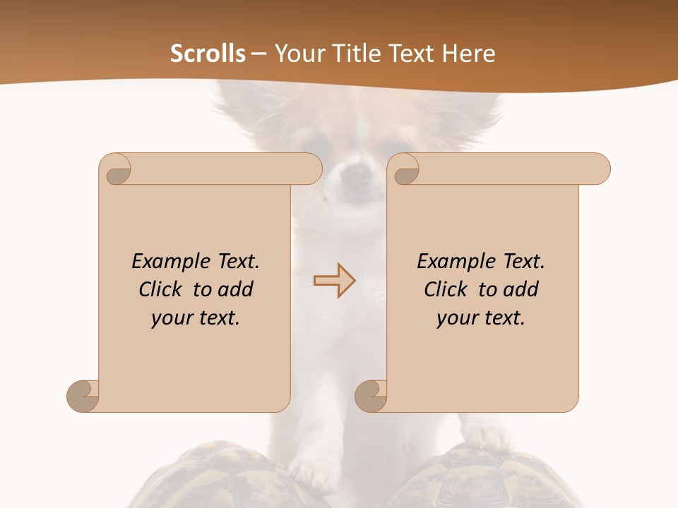 Two Reptile Brown PowerPoint Template