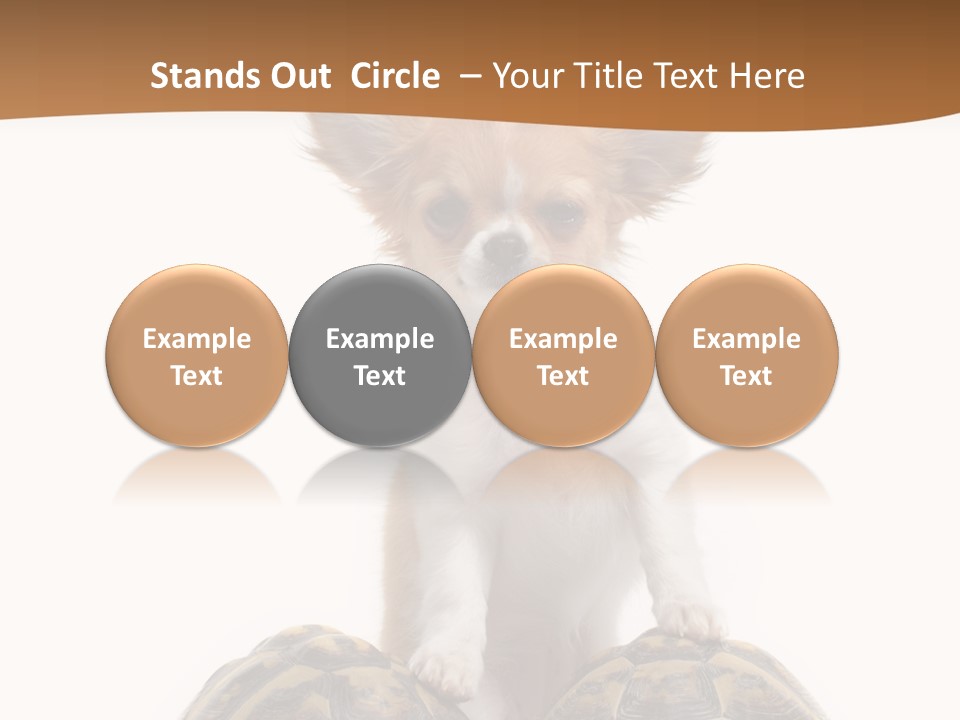 Two Reptile Brown PowerPoint Template