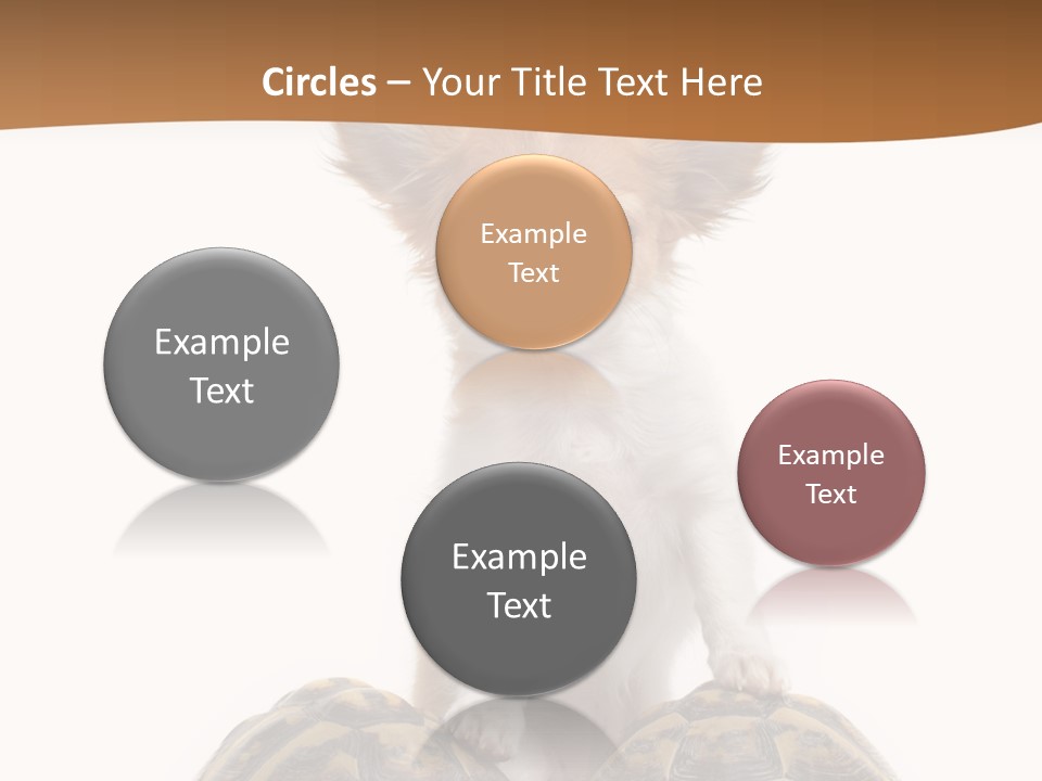 Two Reptile Brown PowerPoint Template