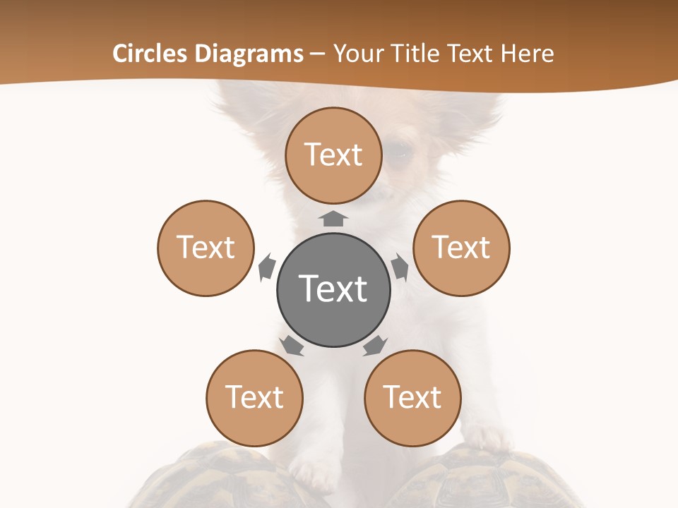 Two Reptile Brown PowerPoint Template