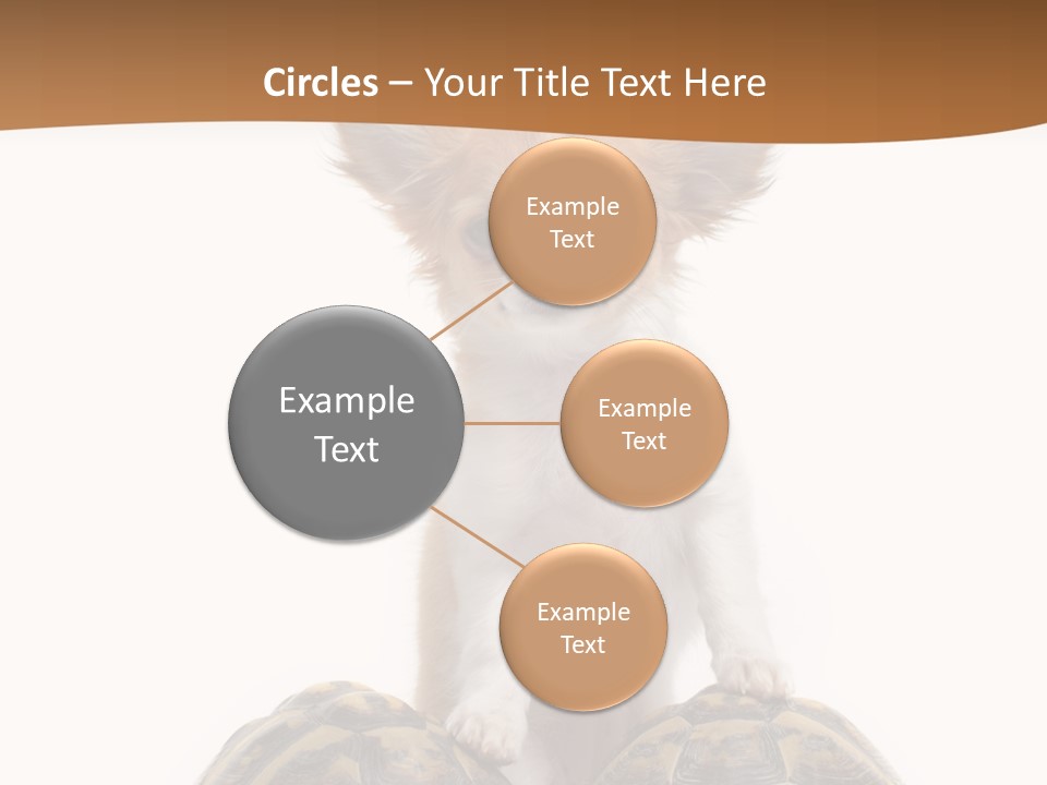 Two Reptile Brown PowerPoint Template