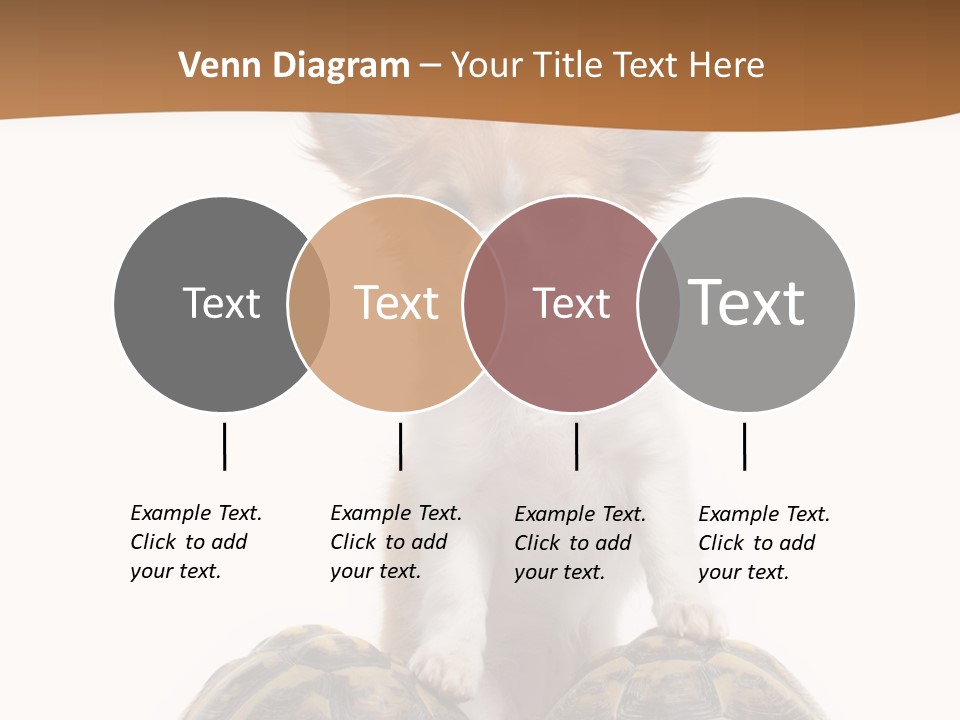 Two Reptile Brown PowerPoint Template