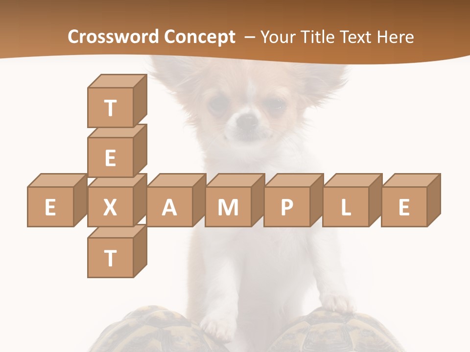 Two Reptile Brown PowerPoint Template