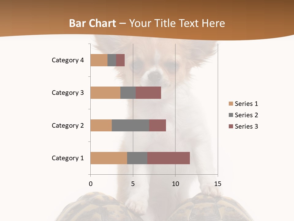 Two Reptile Brown PowerPoint Template