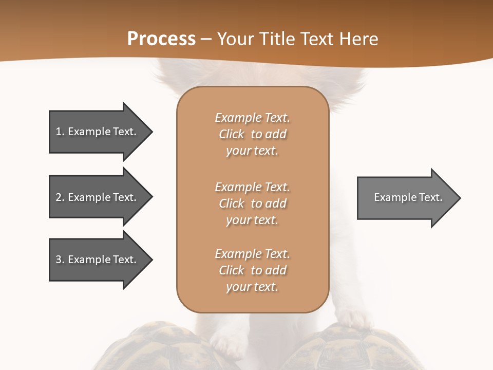 Two Reptile Brown PowerPoint Template