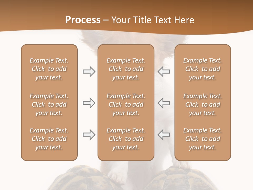 Two Reptile Brown PowerPoint Template
