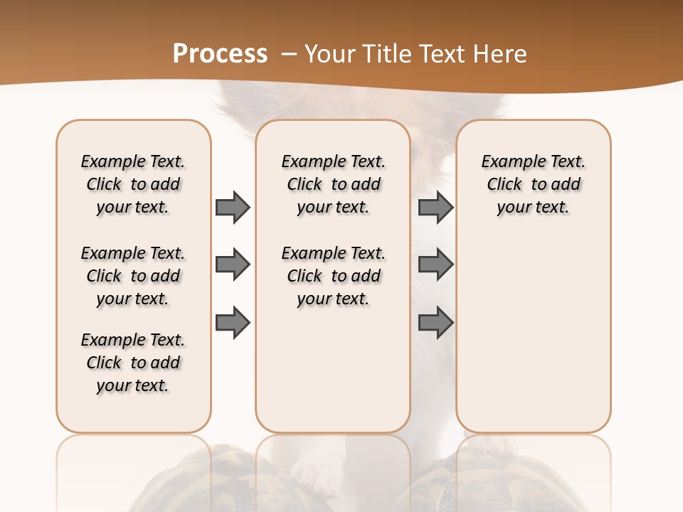 Two Reptile Brown PowerPoint Template