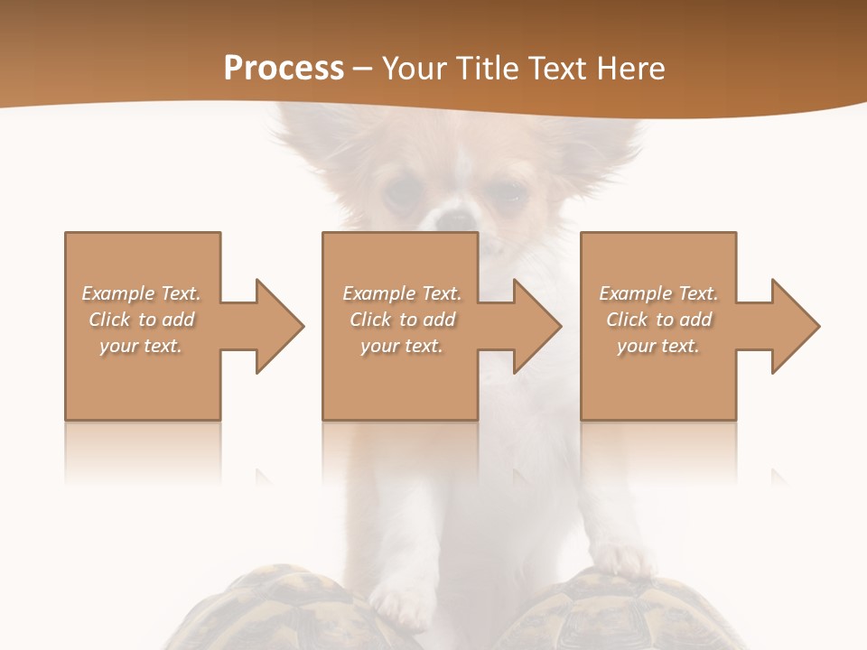 Two Reptile Brown PowerPoint Template