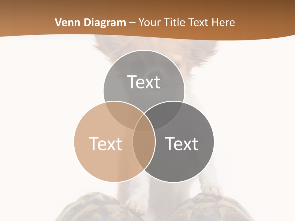 Two Reptile Brown PowerPoint Template