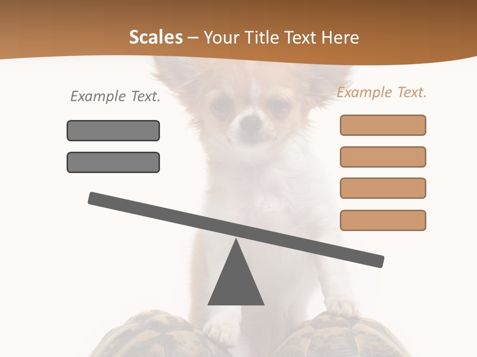 Two Reptile Brown PowerPoint Template