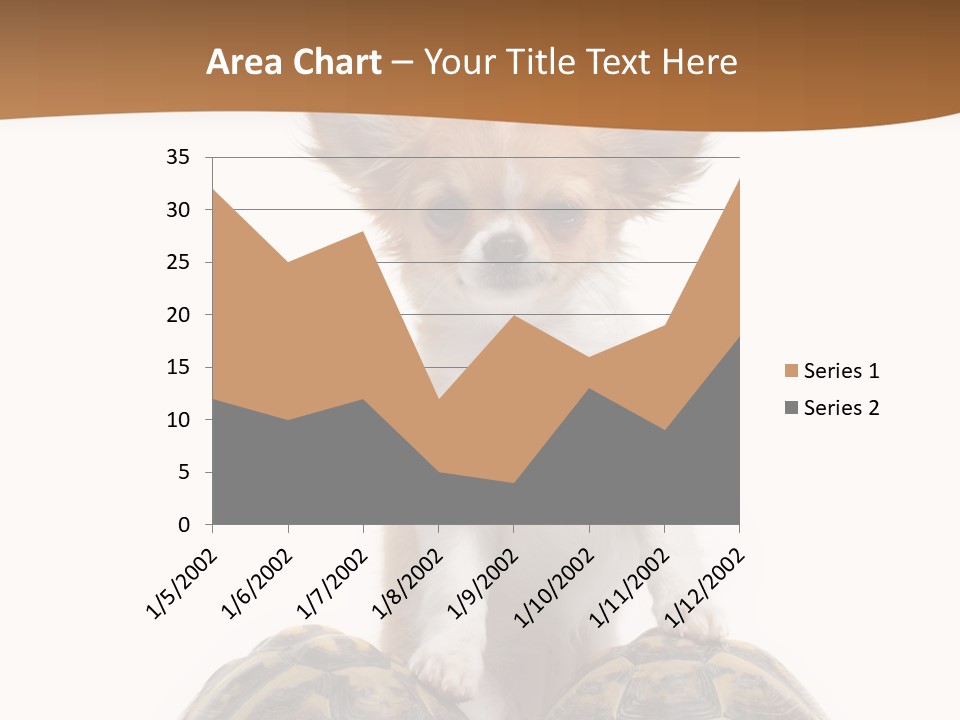 Two Reptile Brown PowerPoint Template