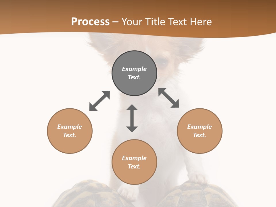 Two Reptile Brown PowerPoint Template