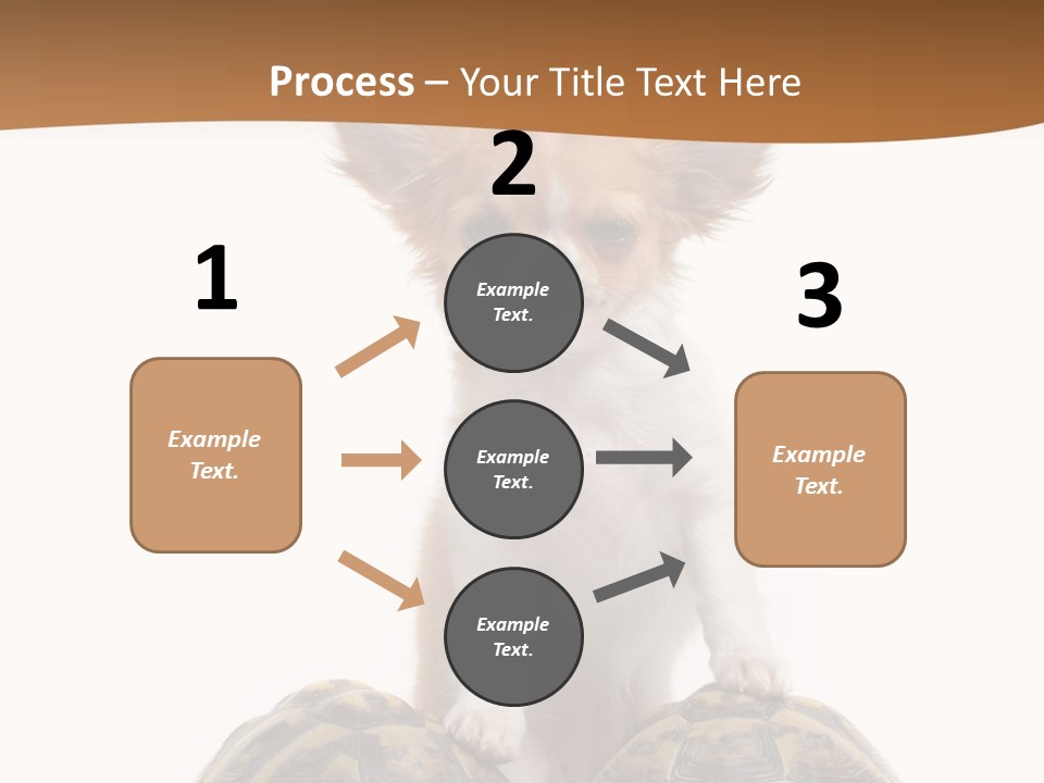 Two Reptile Brown PowerPoint Template