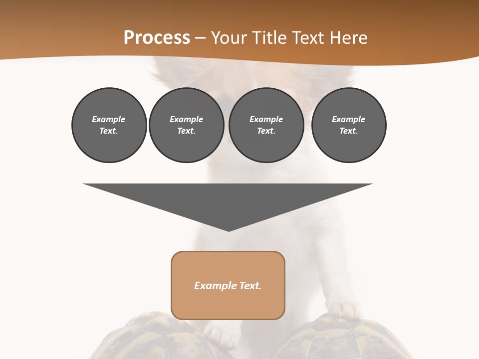 Two Reptile Brown PowerPoint Template