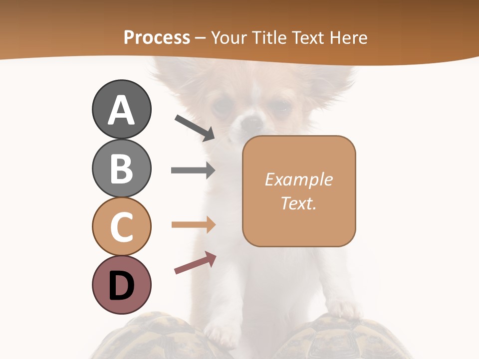 Two Reptile Brown PowerPoint Template