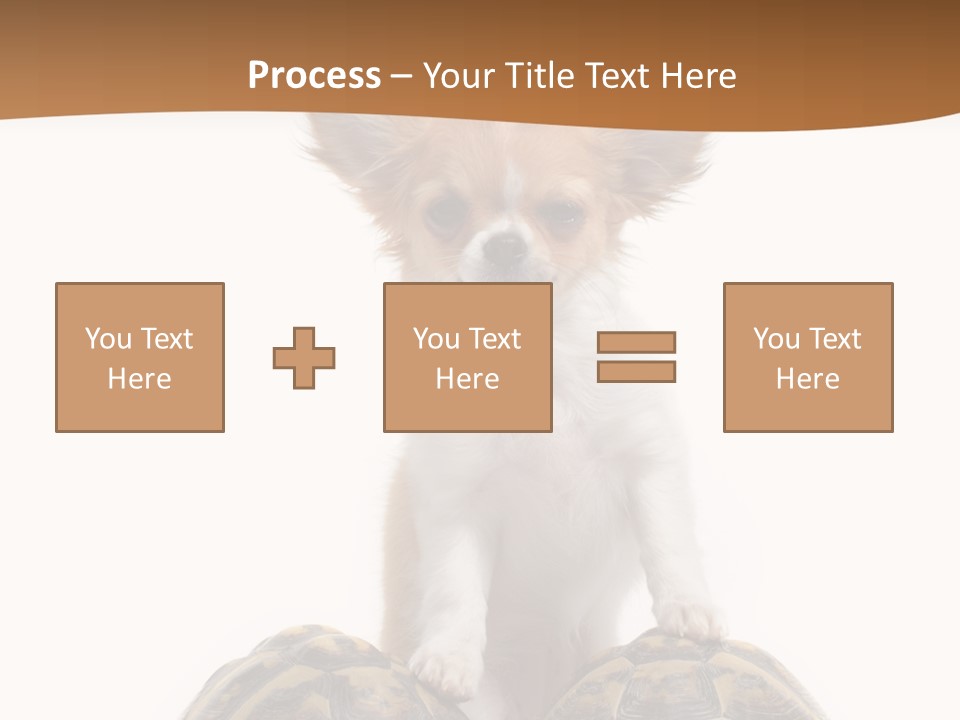 Two Reptile Brown PowerPoint Template