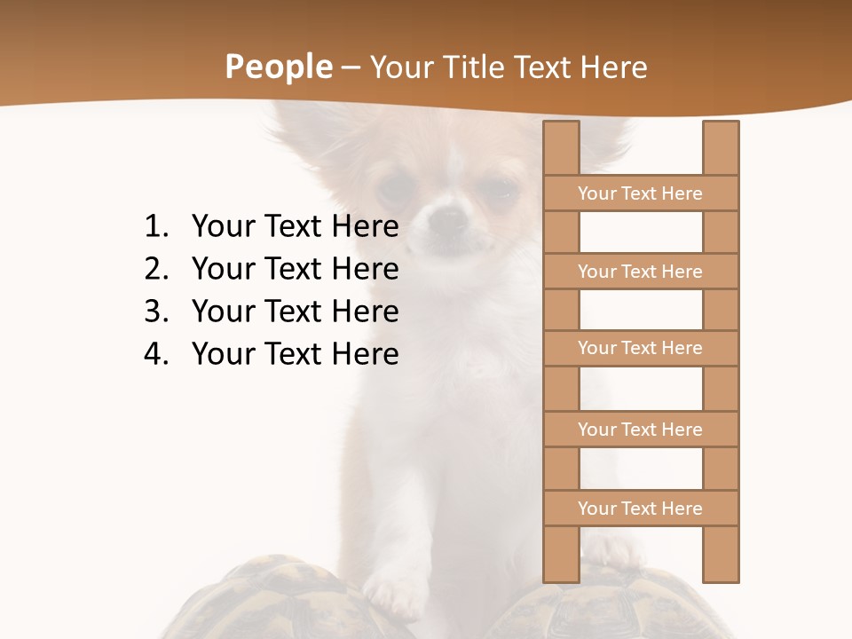 Two Reptile Brown PowerPoint Template